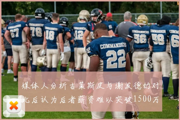 媒体人分析吉莱斯皮与谢泼德的对比后认为后者薪资难以突破1500万