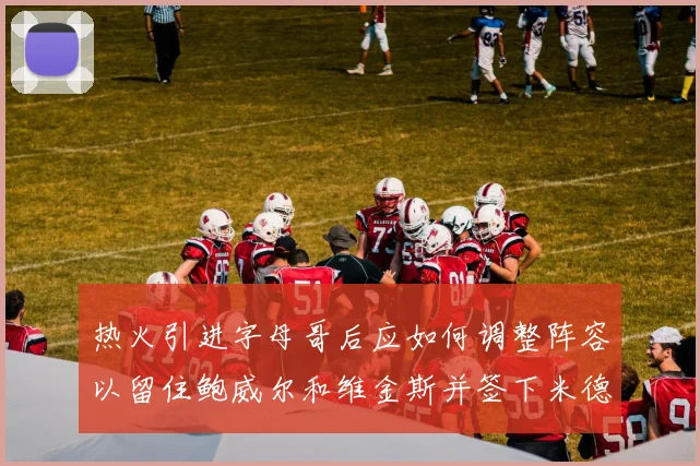 热火引进字母哥后应如何调整阵容以留住鲍威尔和维金斯并签下米德尔顿